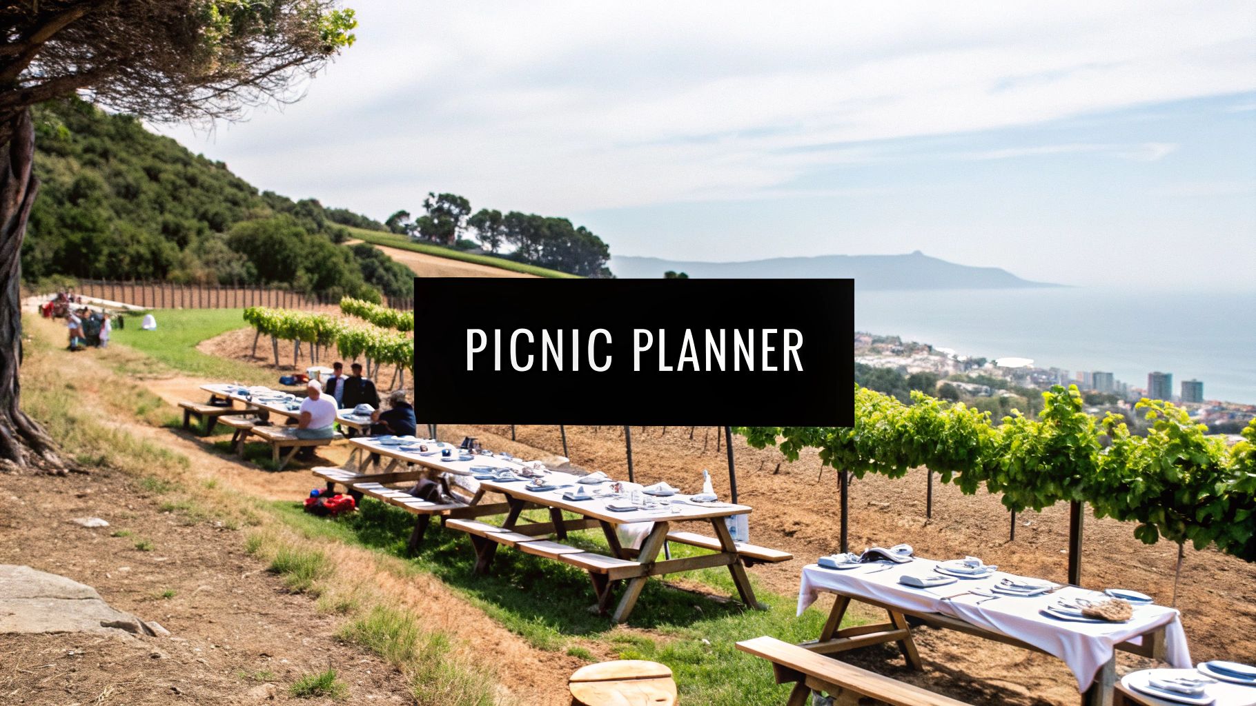 A Planner's Guide to Folding Picnic Tables for Cape Town Events